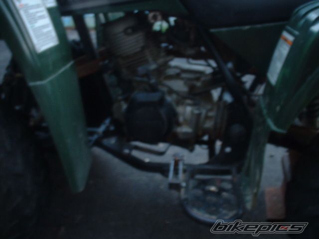 Photo 610325