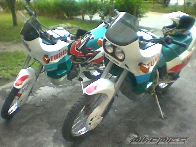 Photo 610396