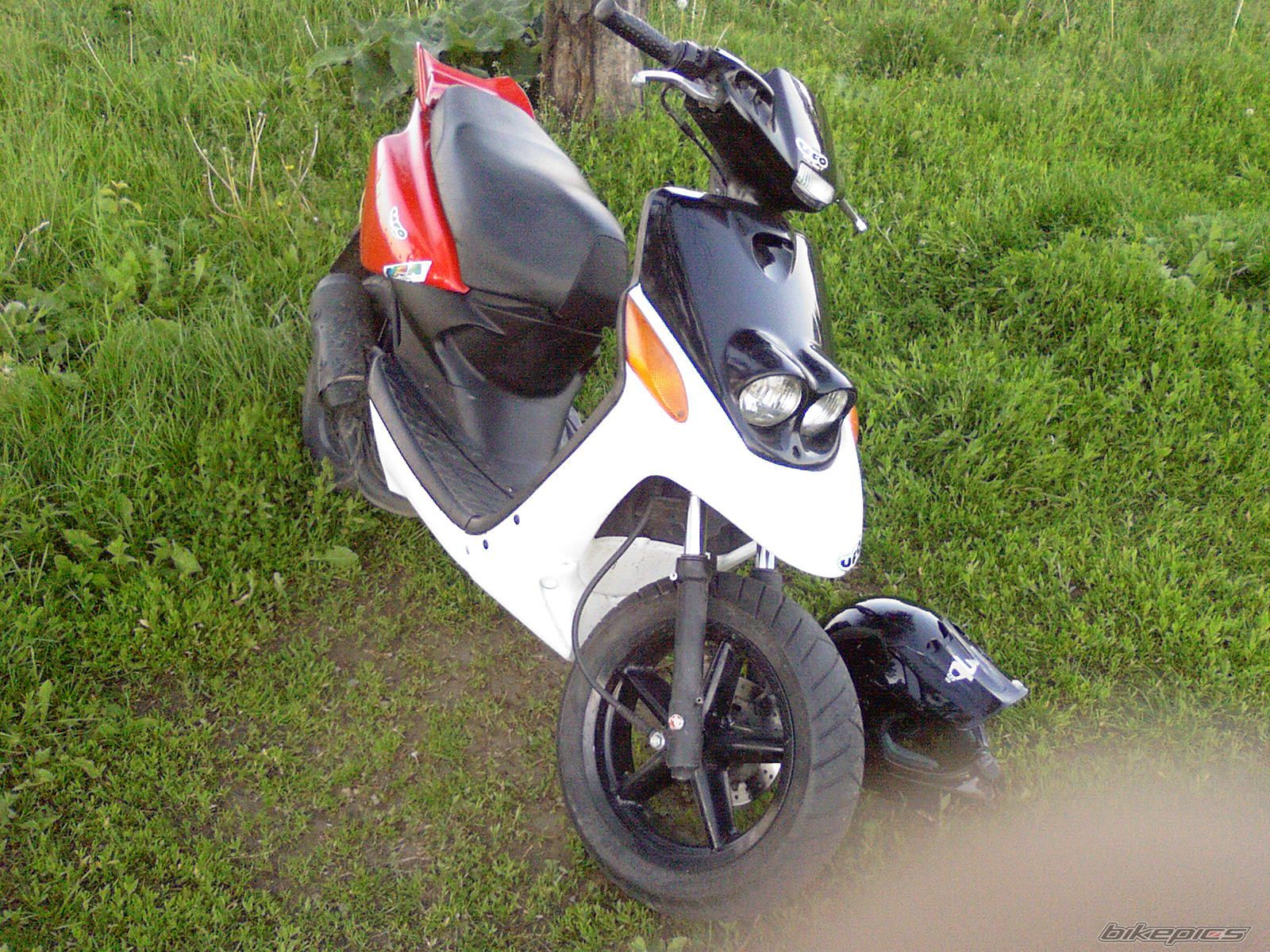 Photo 610768