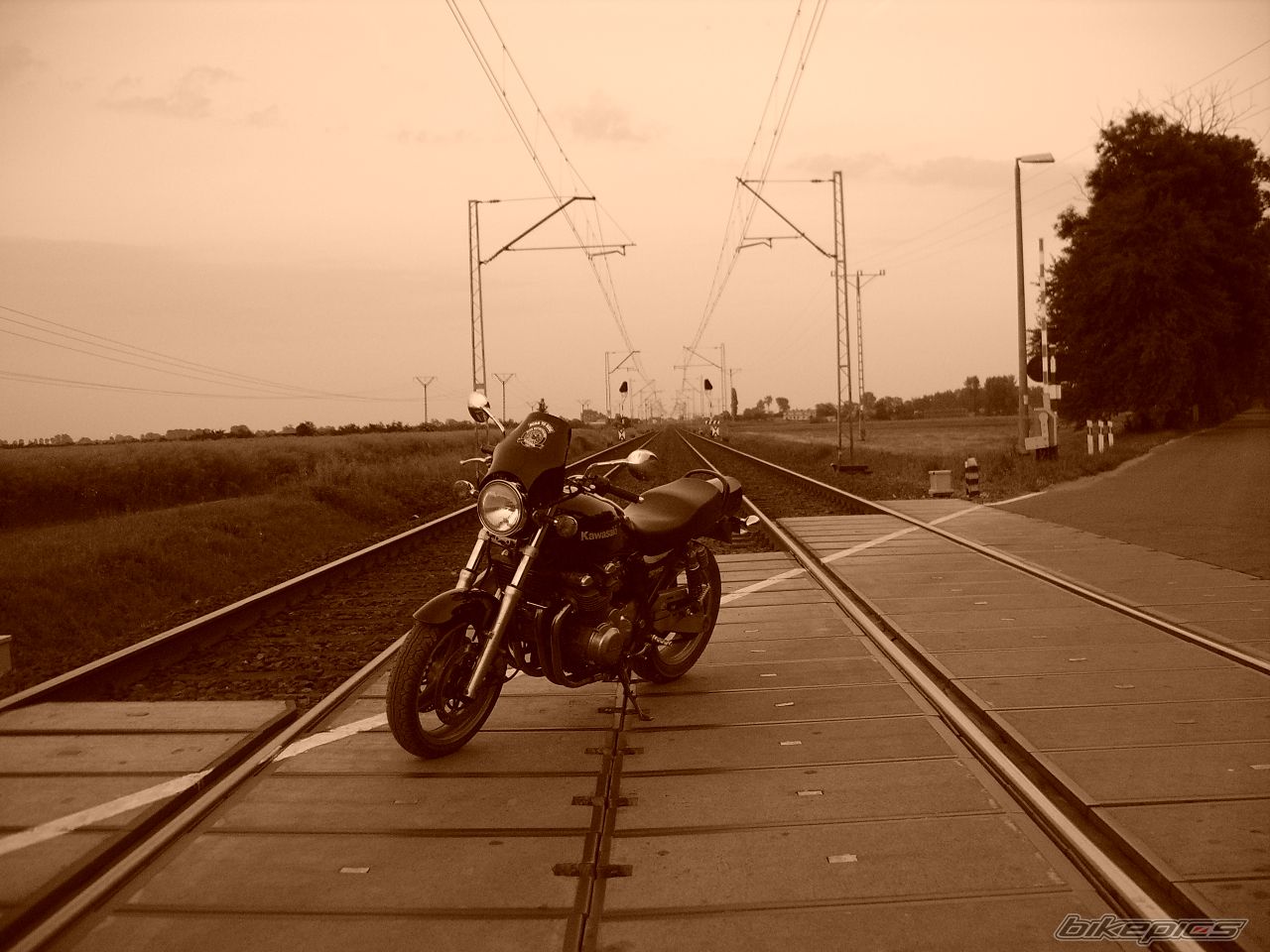 Photo 610996
