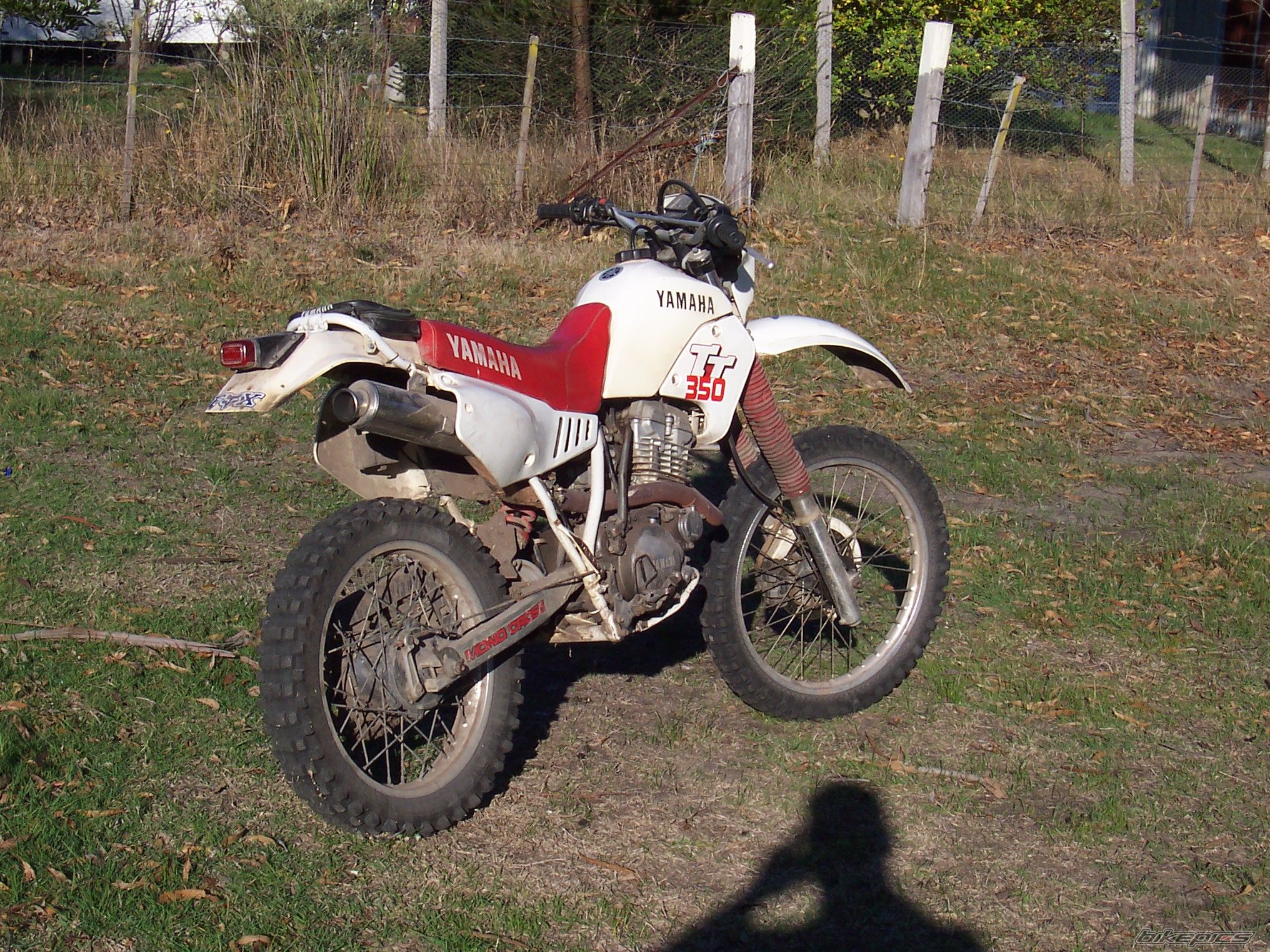 Bike Photo 611755