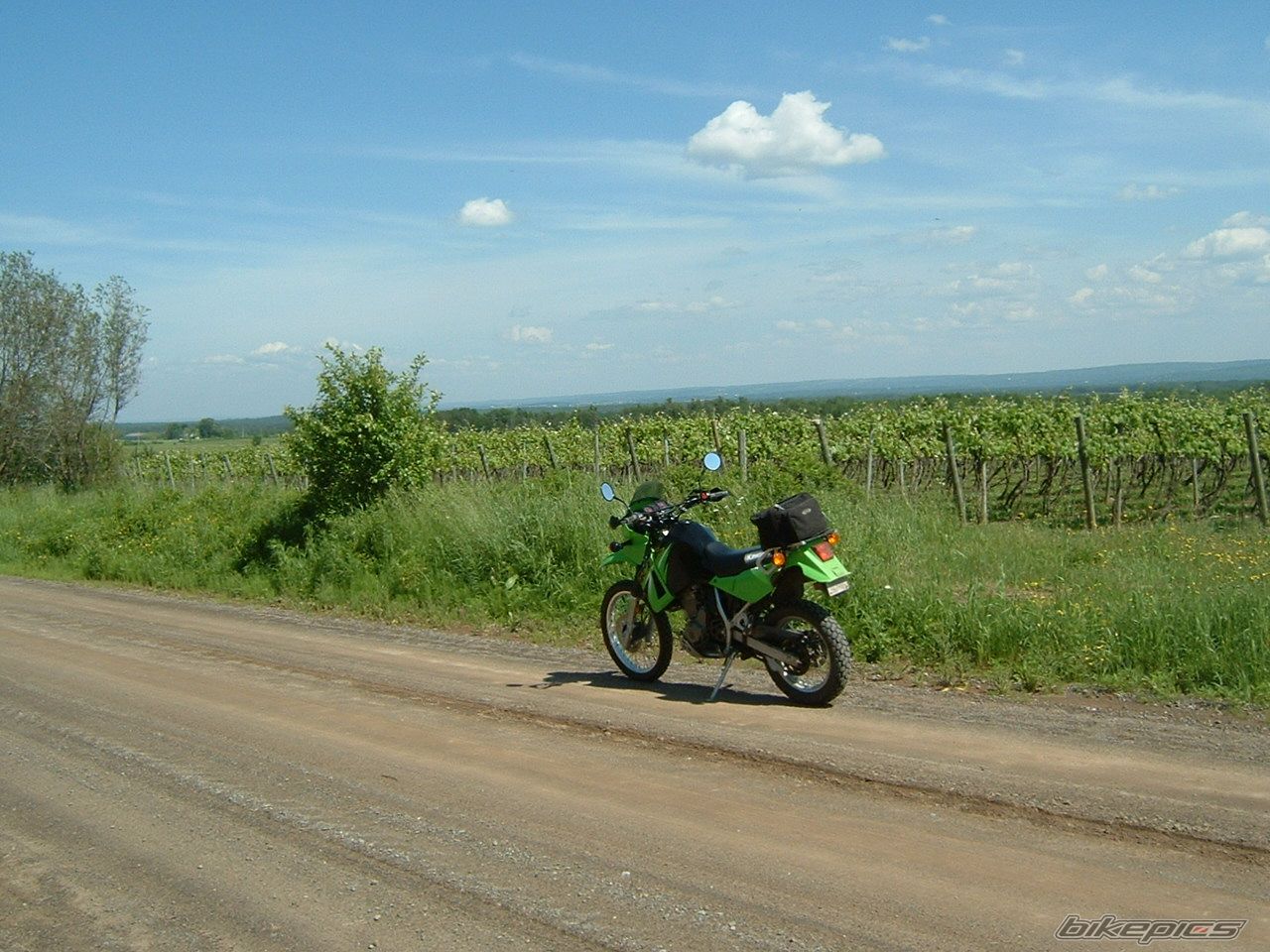 Photo 611998