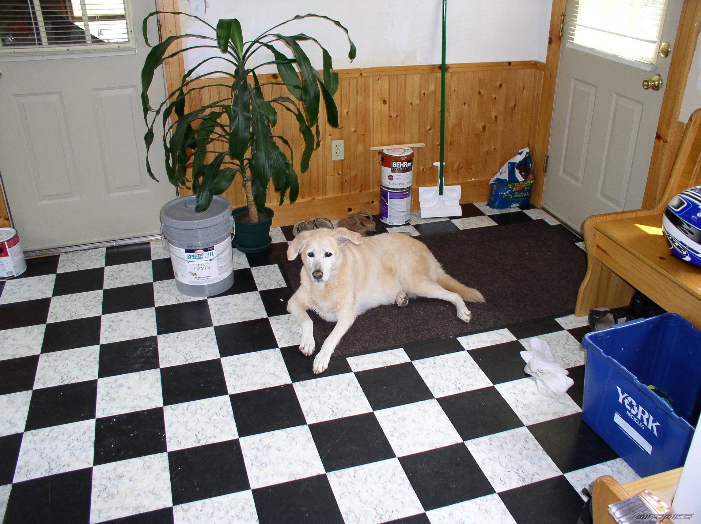Photo 61222