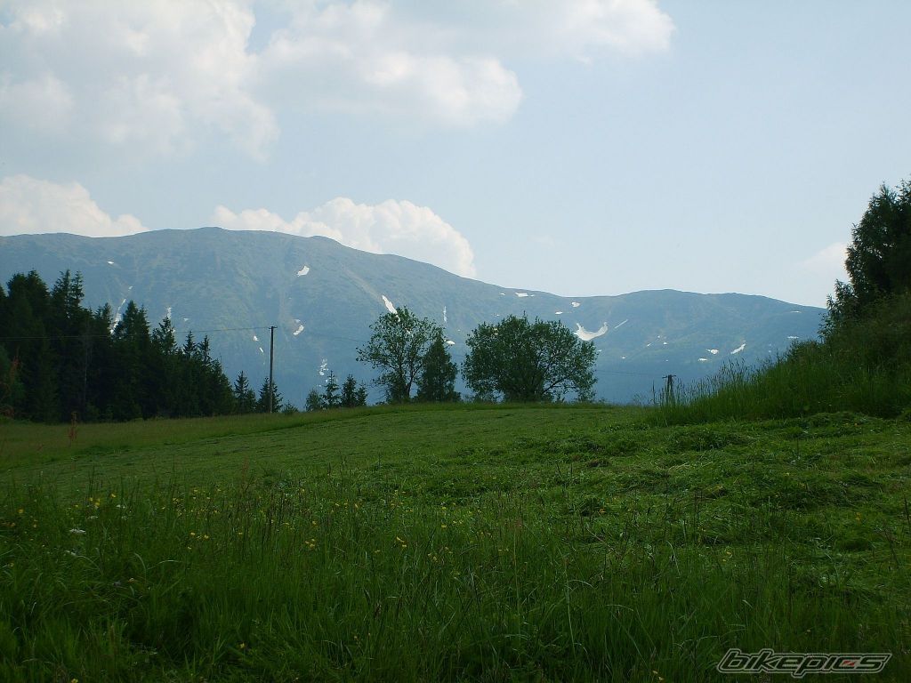 Photo 612337