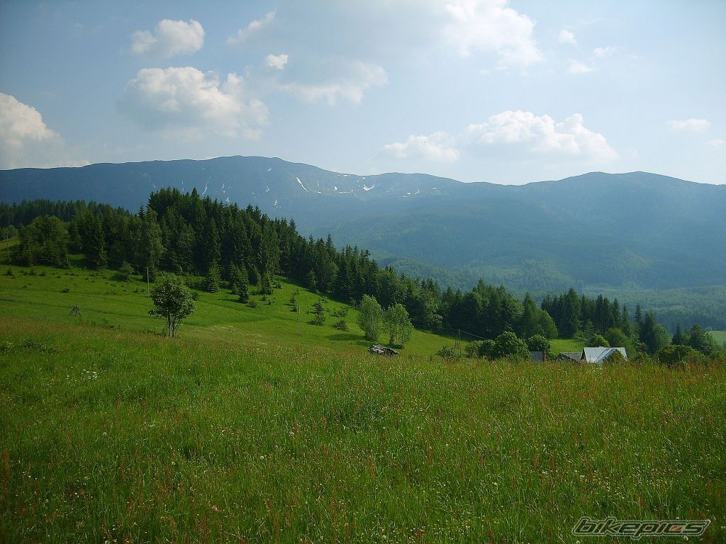 Photo 612353