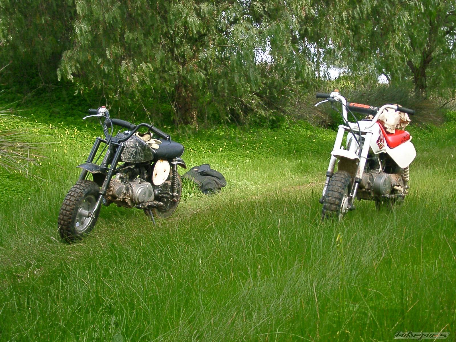 Bike Photo 61246