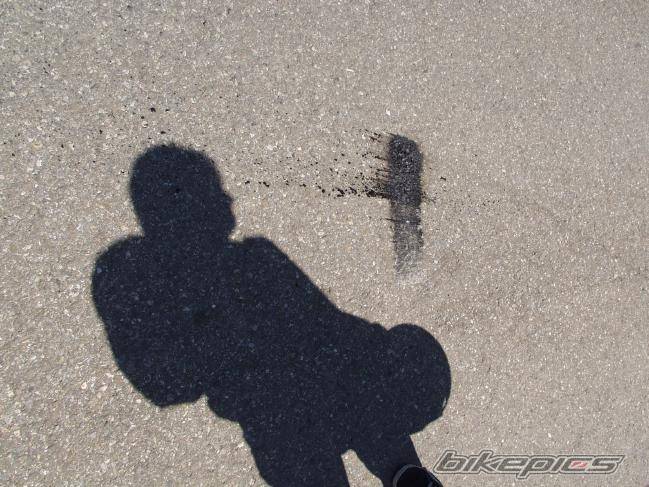 Photo 6131