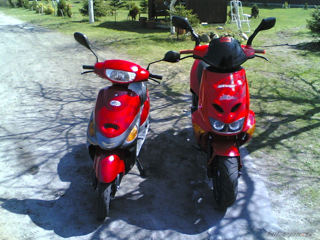 Photo 613254