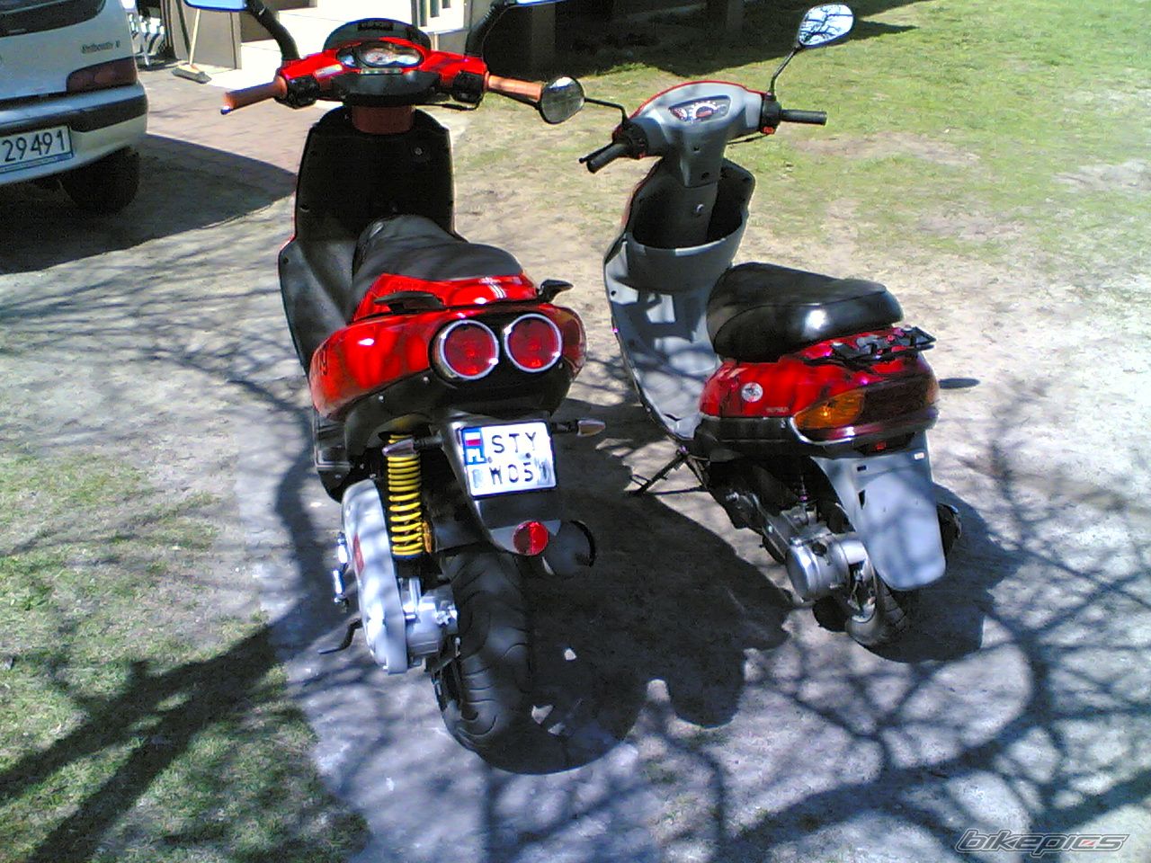 Photo 613255