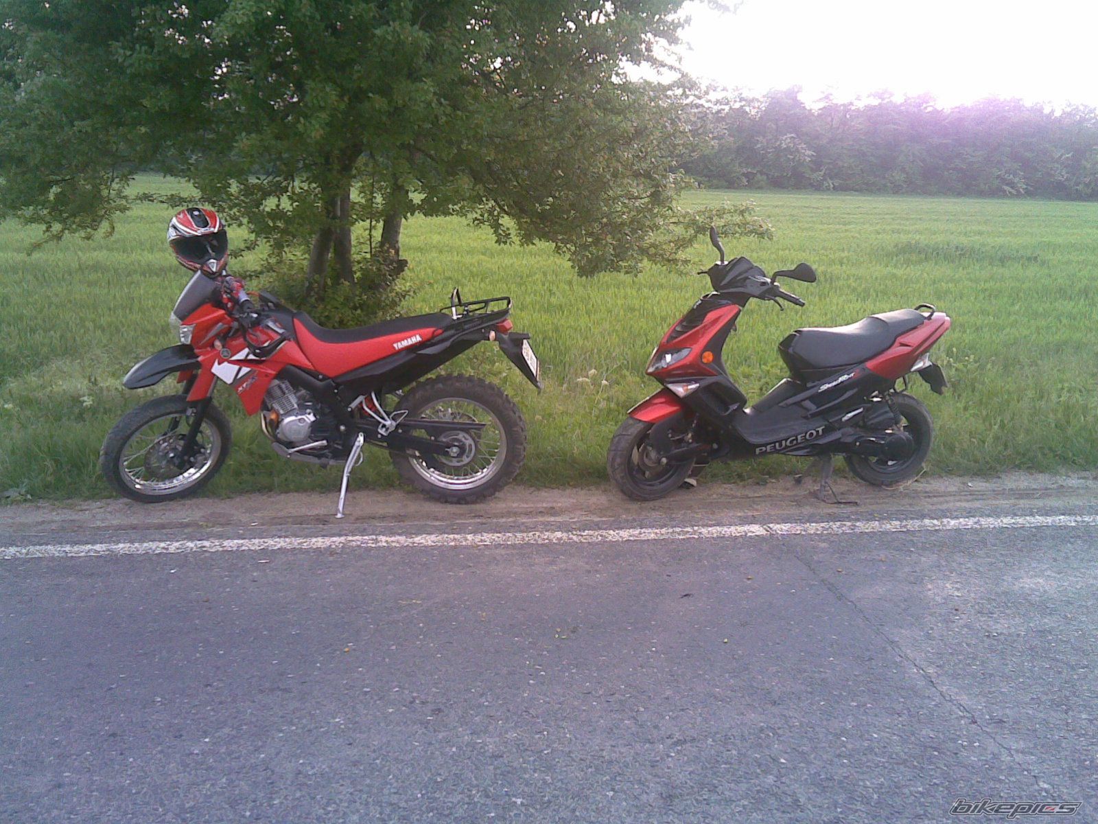 Photo 613308
