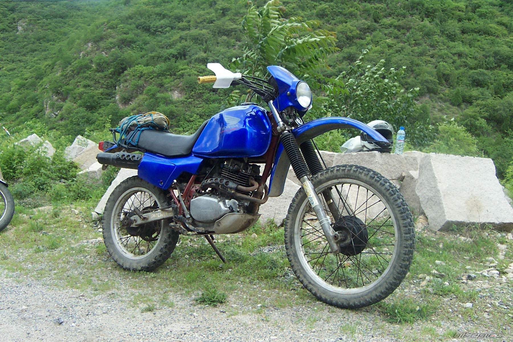 Photo 613373
