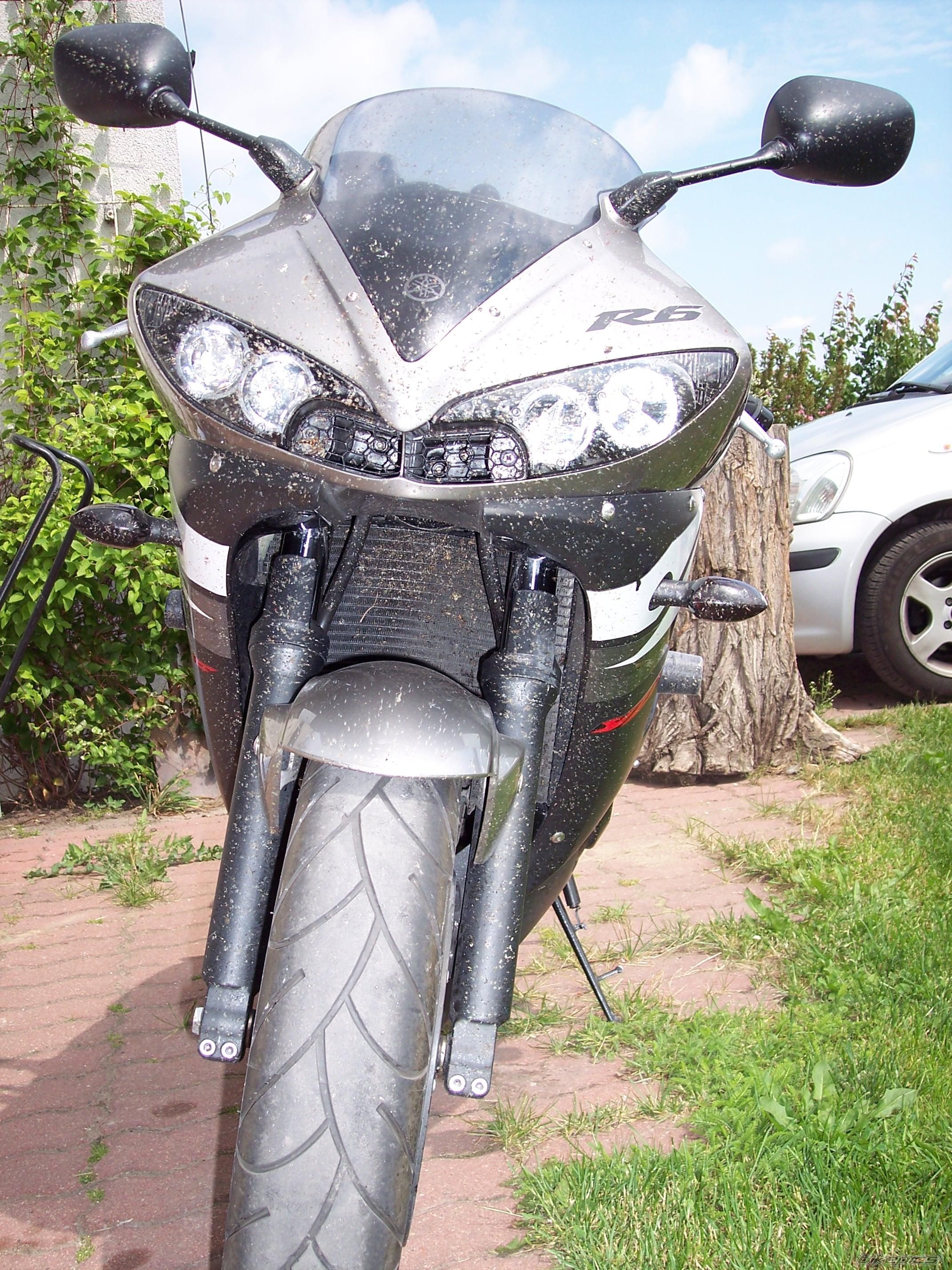 Photo 613433