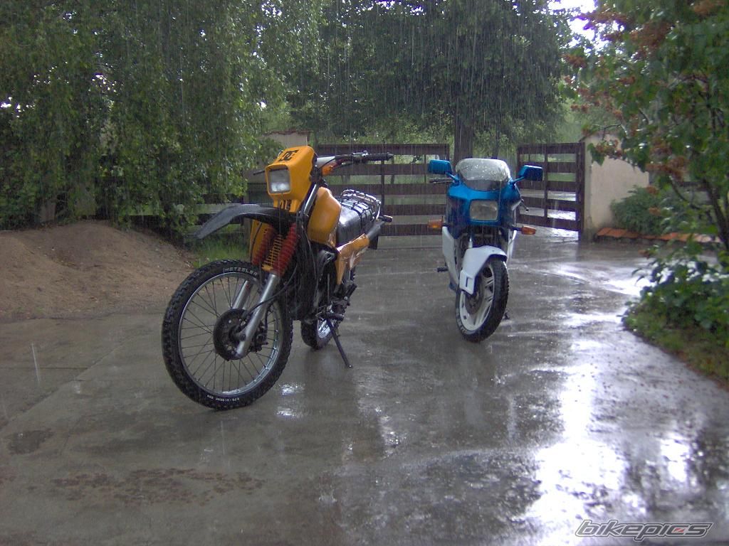 Bike Photo 613653