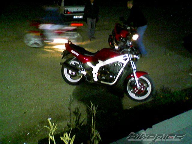Photo 613795