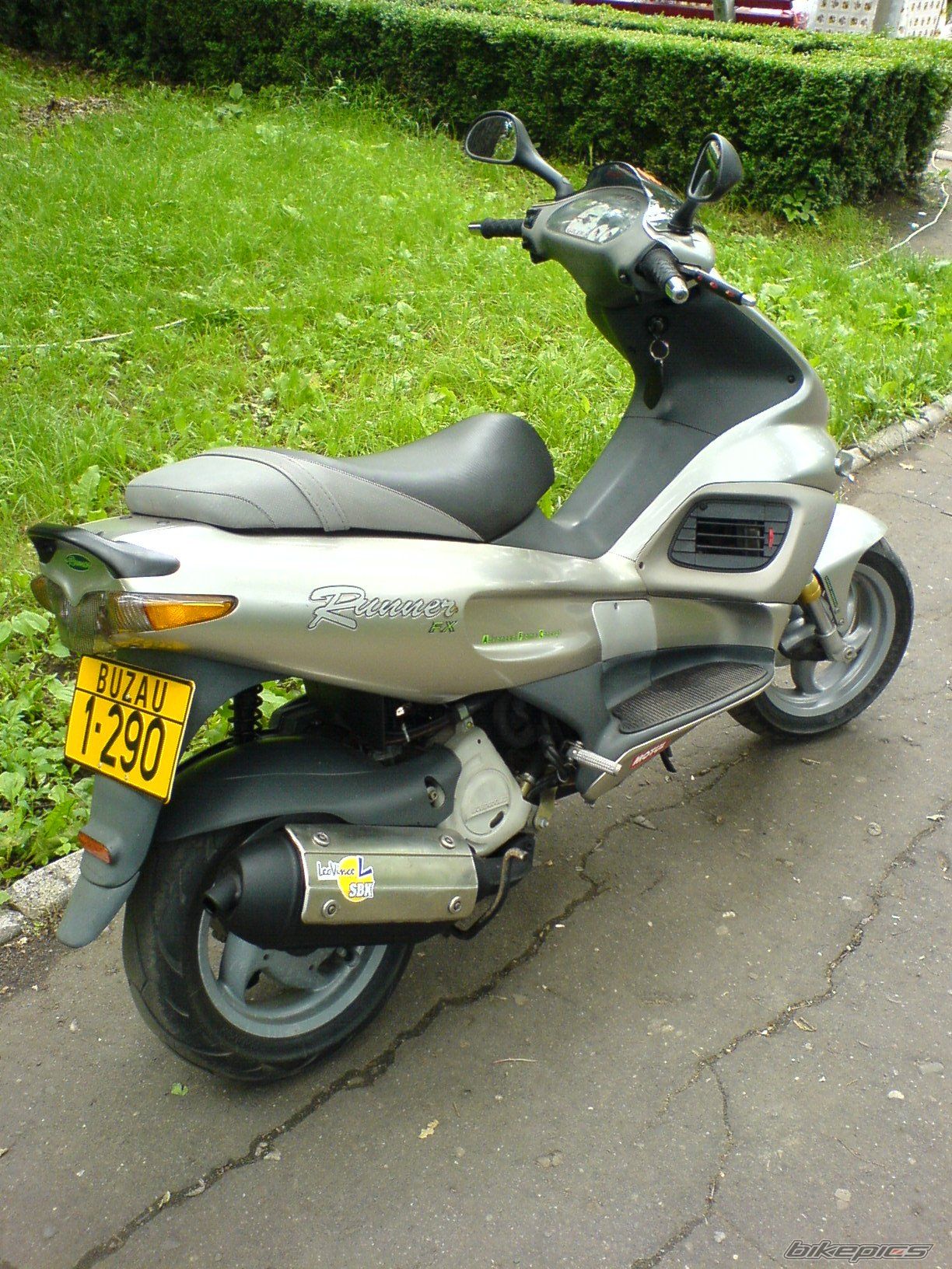 Photo 613904