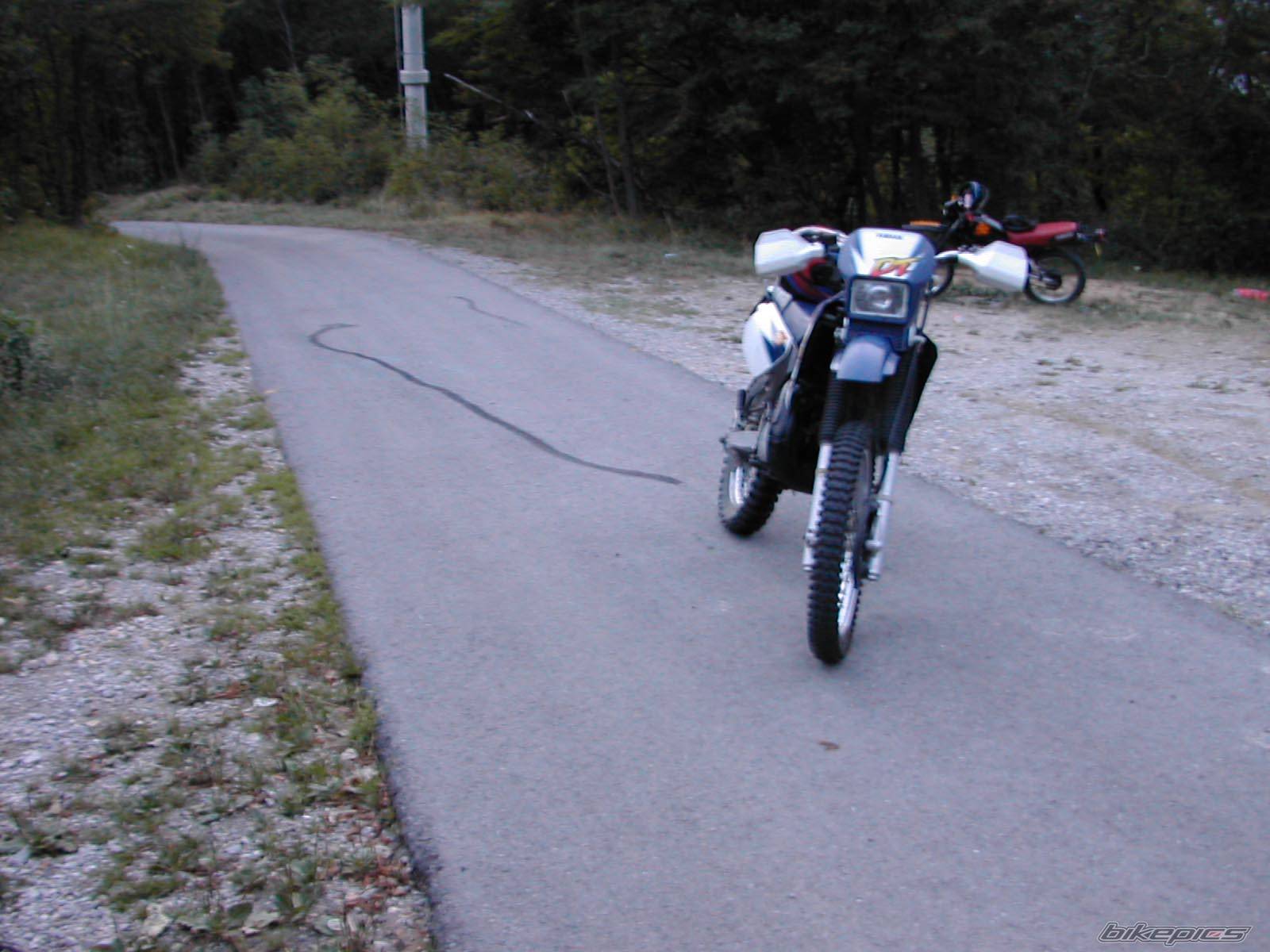 Bike Photo 61392