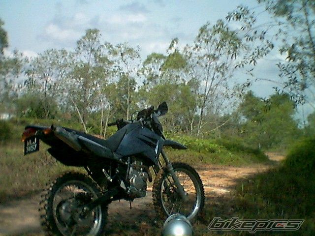Bike Photo 613989