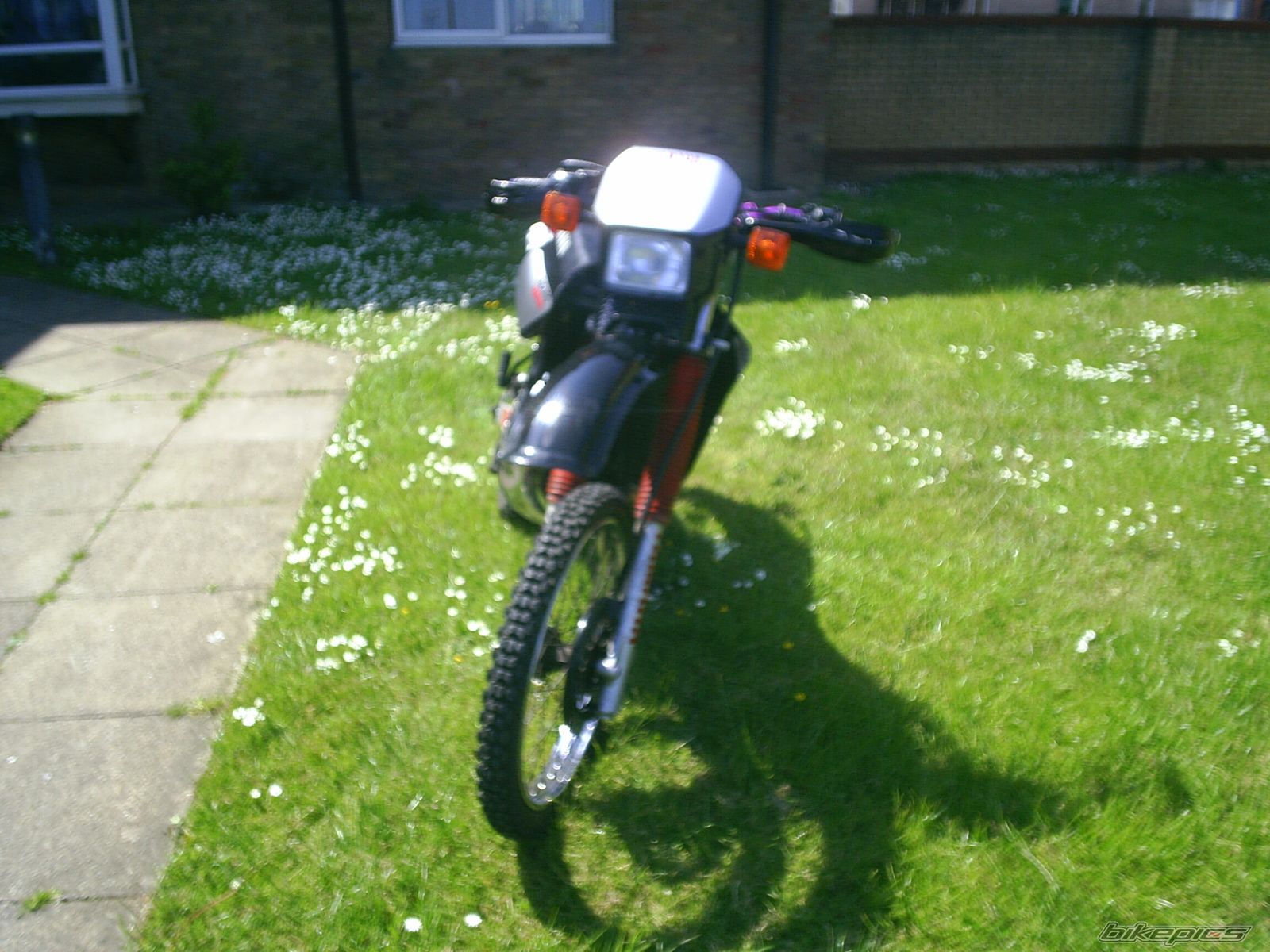 Photo 615258