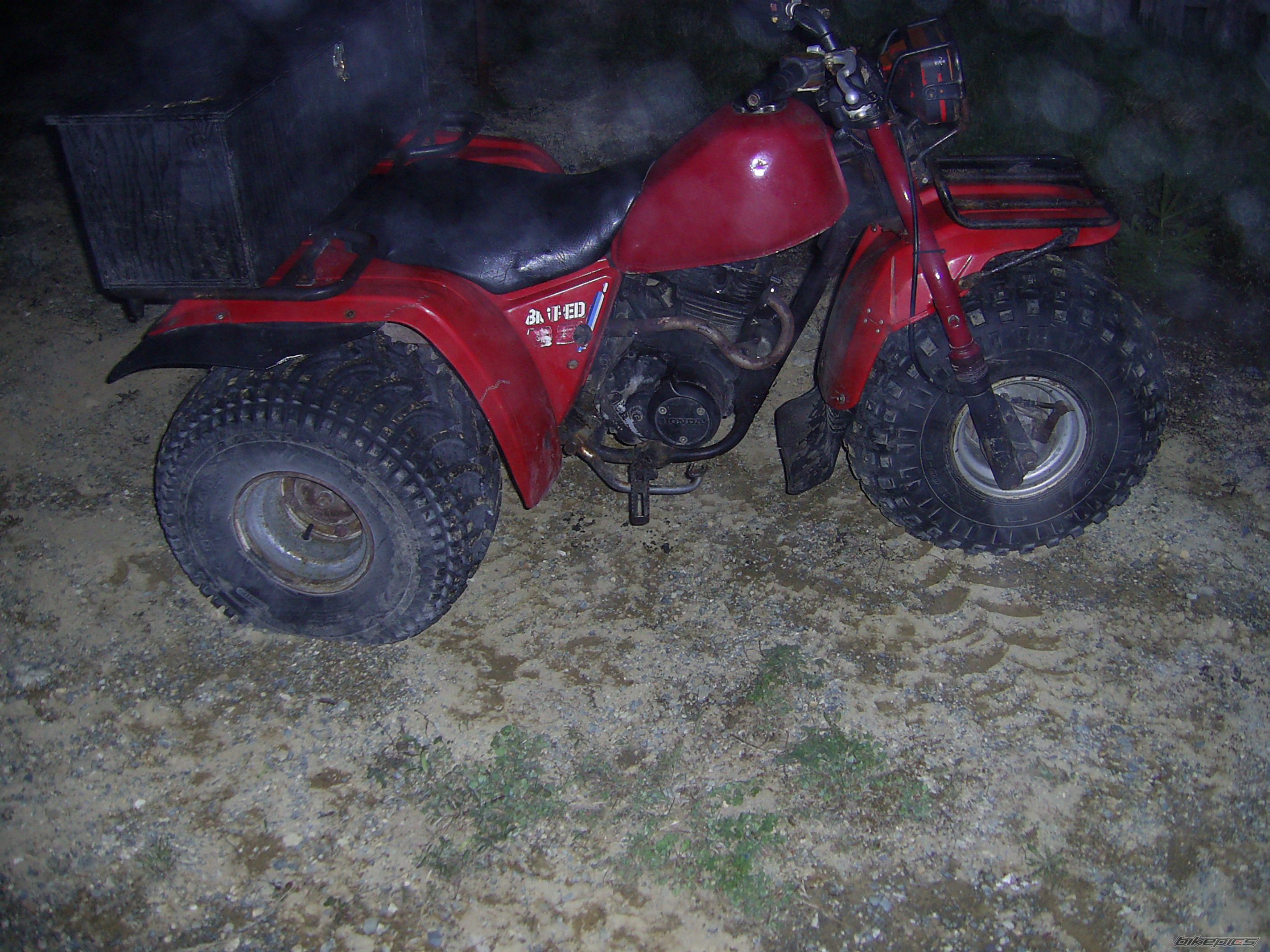 Photo 615421