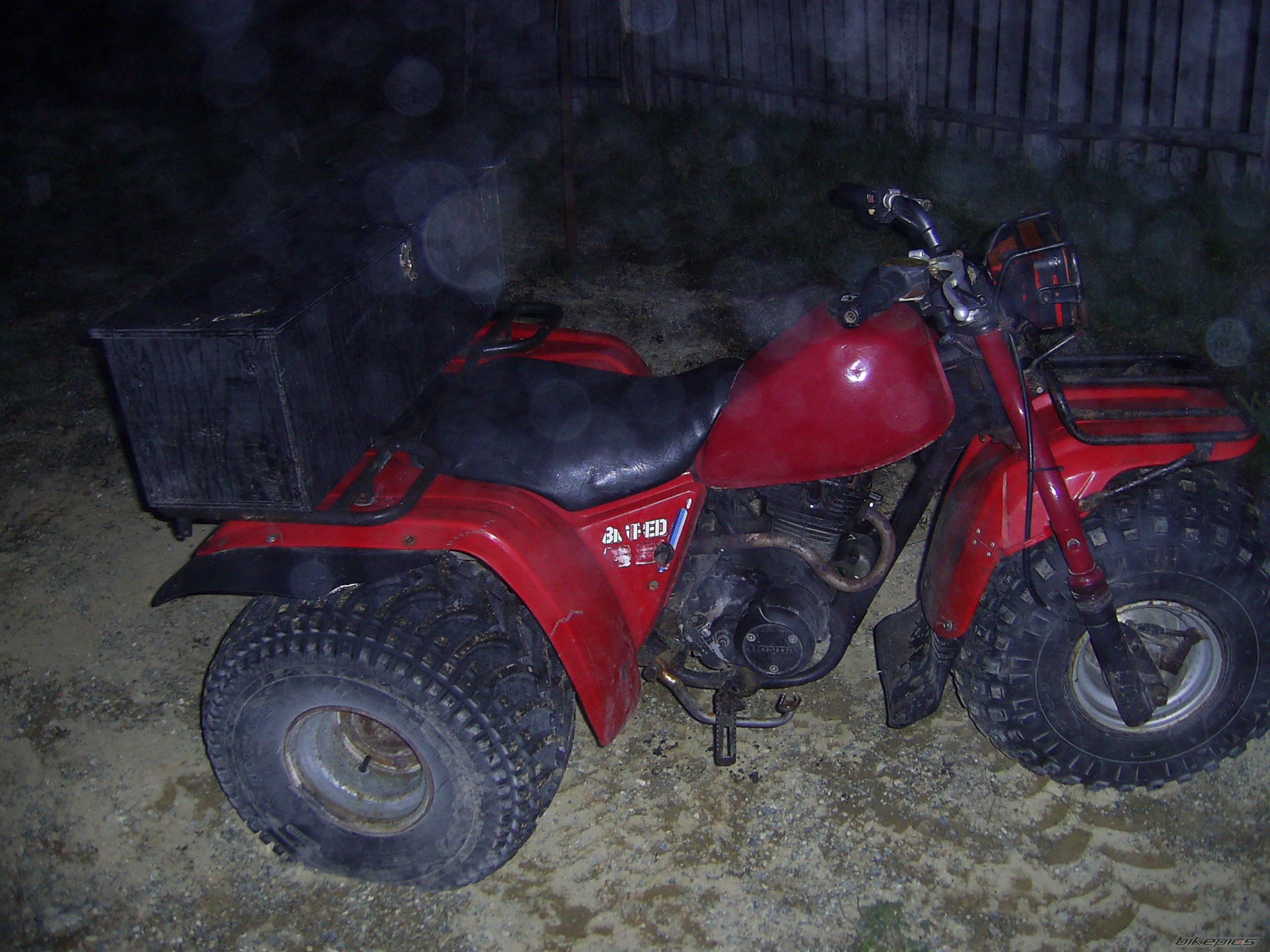 Photo 615424