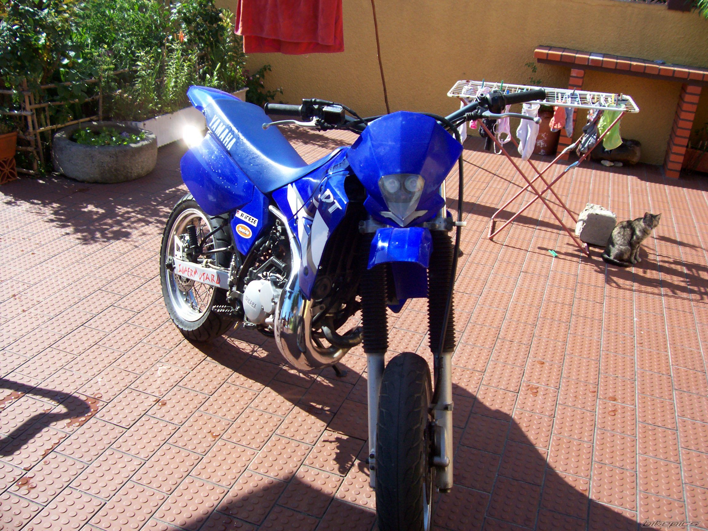 Photo 616022