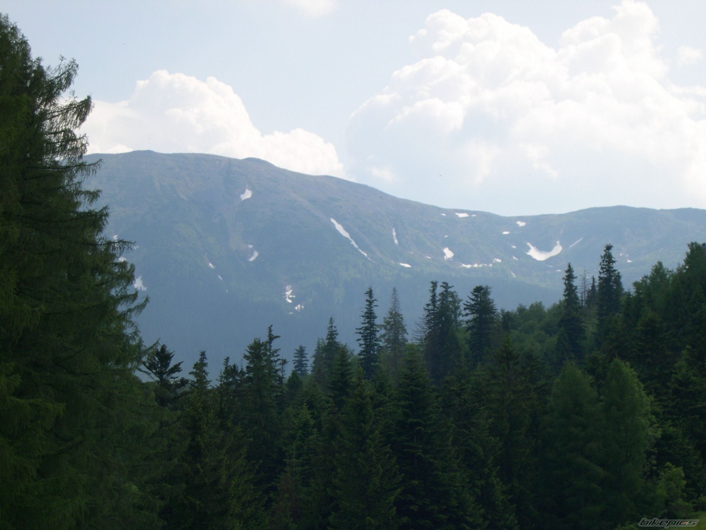 Photo 616335