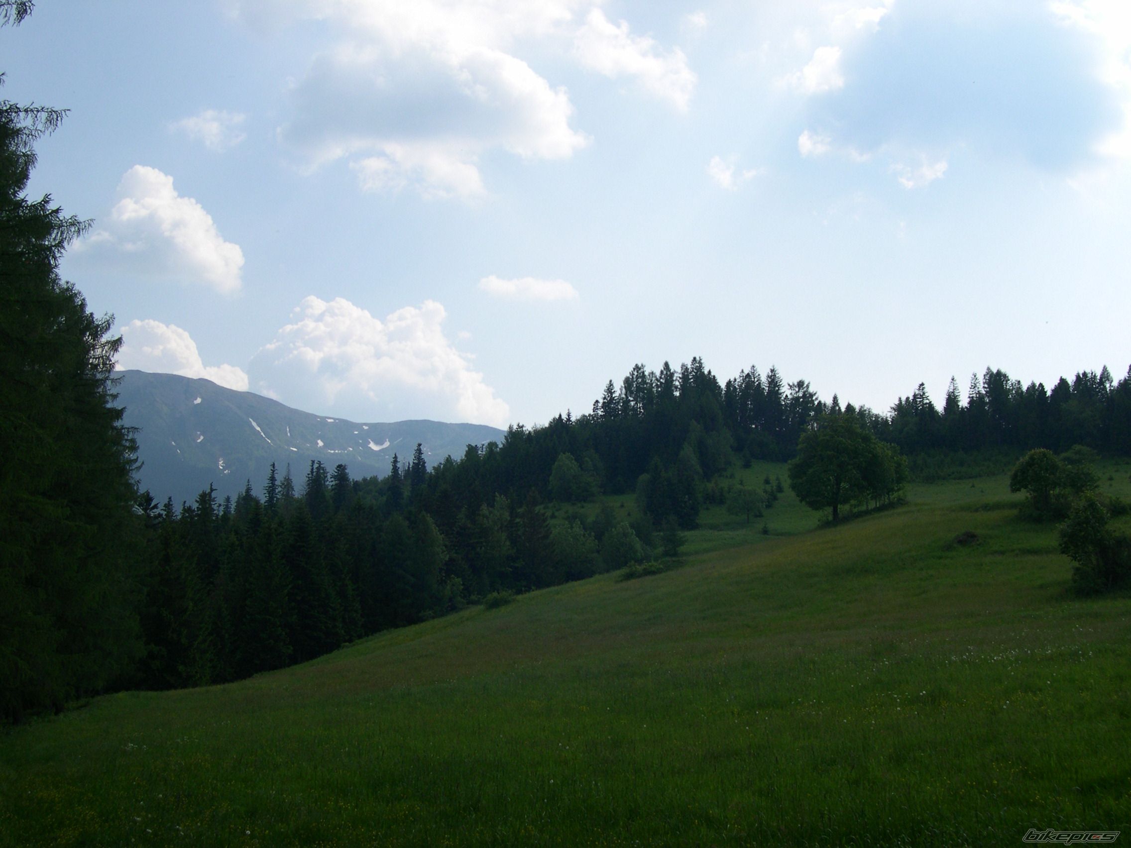 Photo 616336