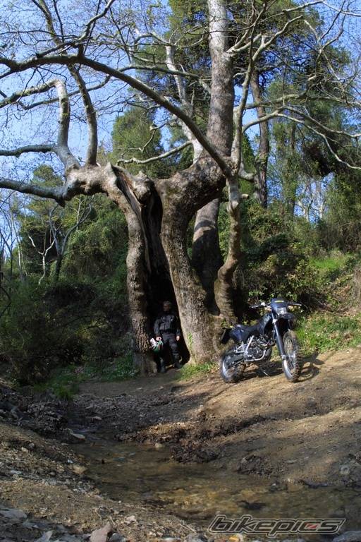 Bike Photo 61639