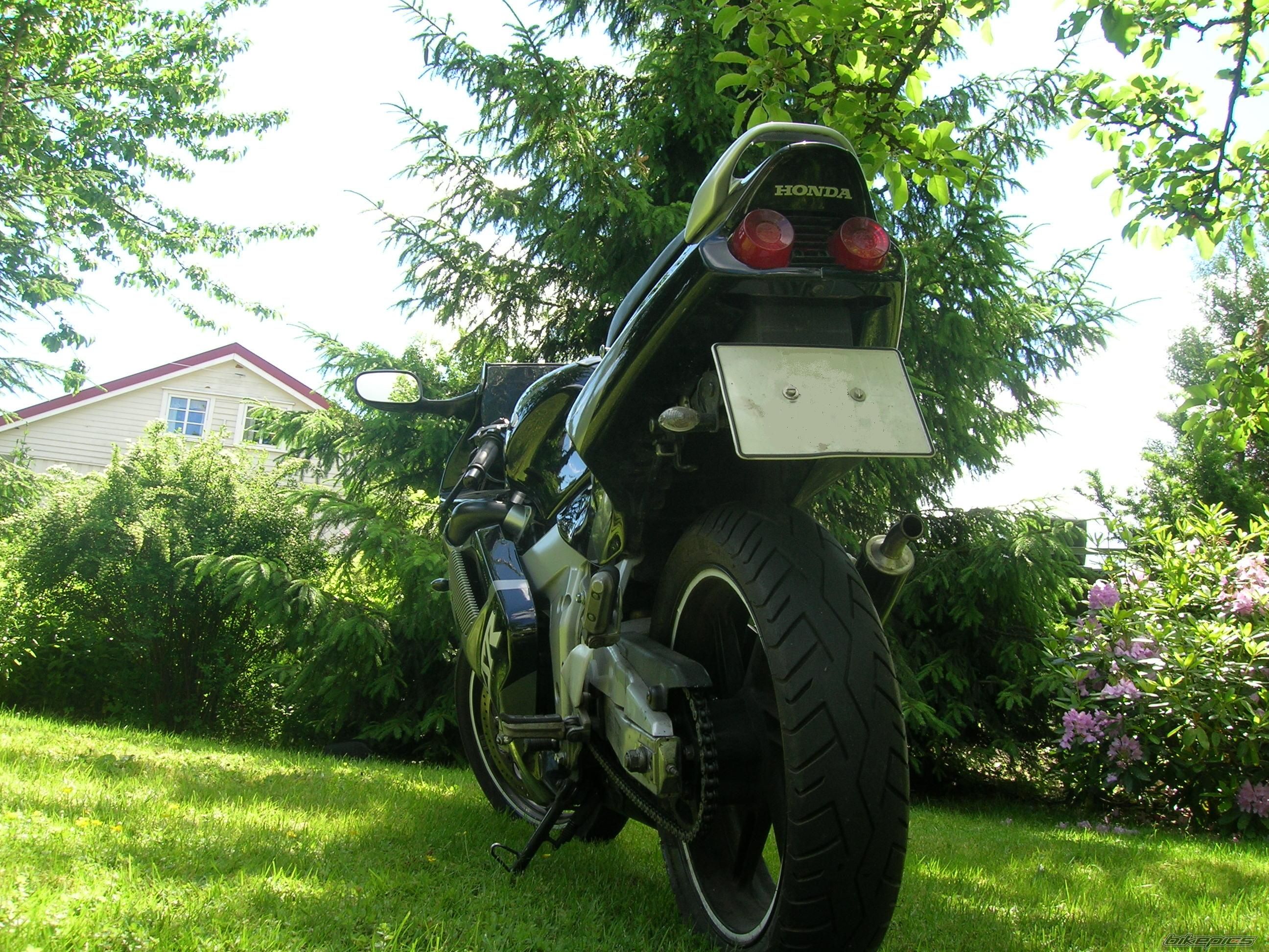 Photo 617321