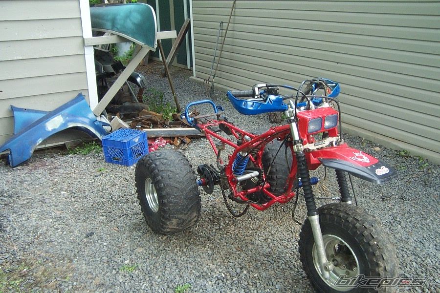 Photo 617340