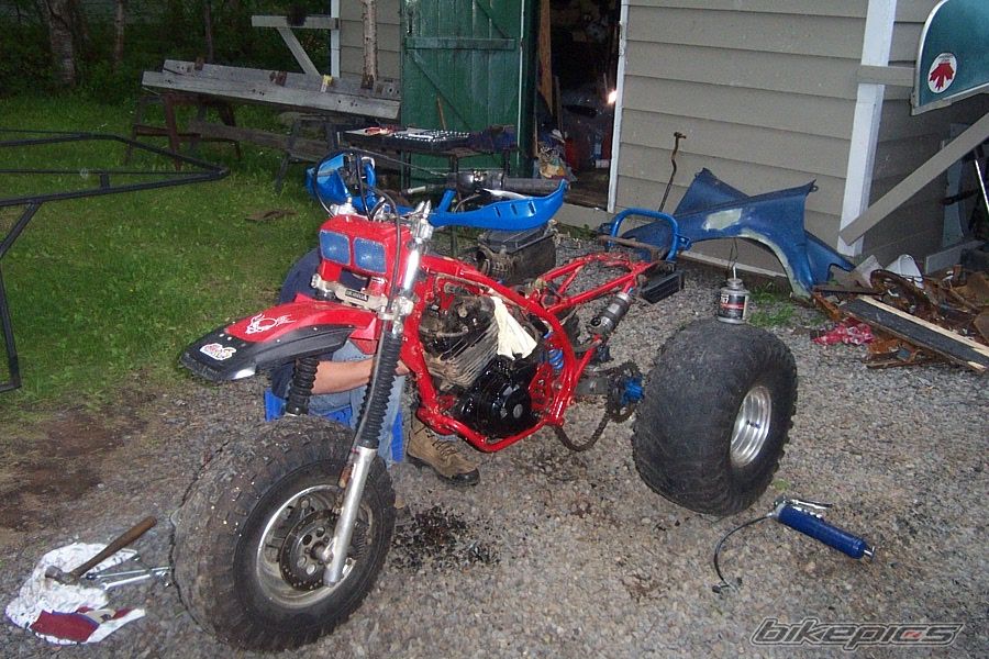 Photo 617341
