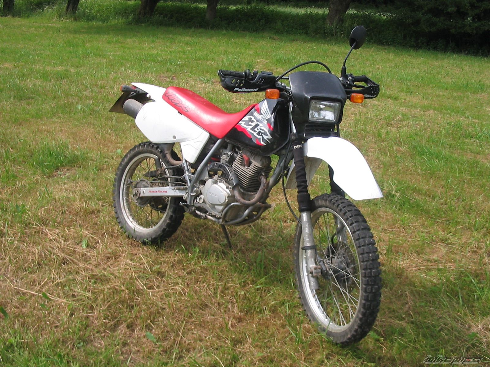 Bike Photo 617387
