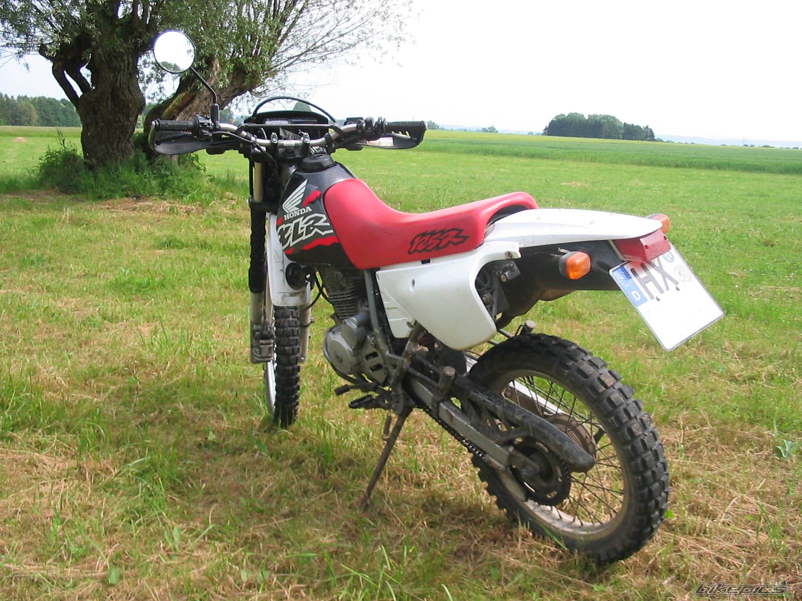 Bike Photo 617398