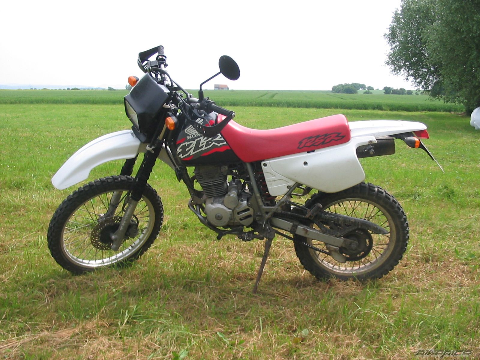 Bike Photo 617399