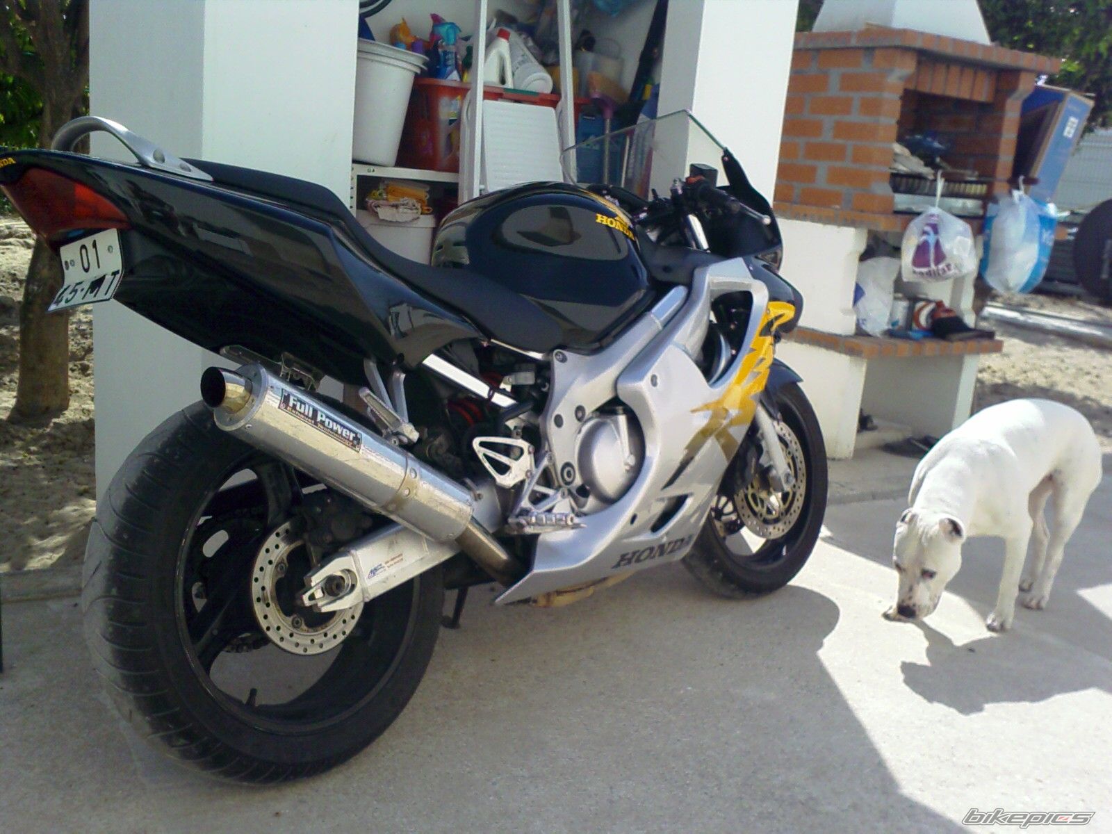 Photo 617444