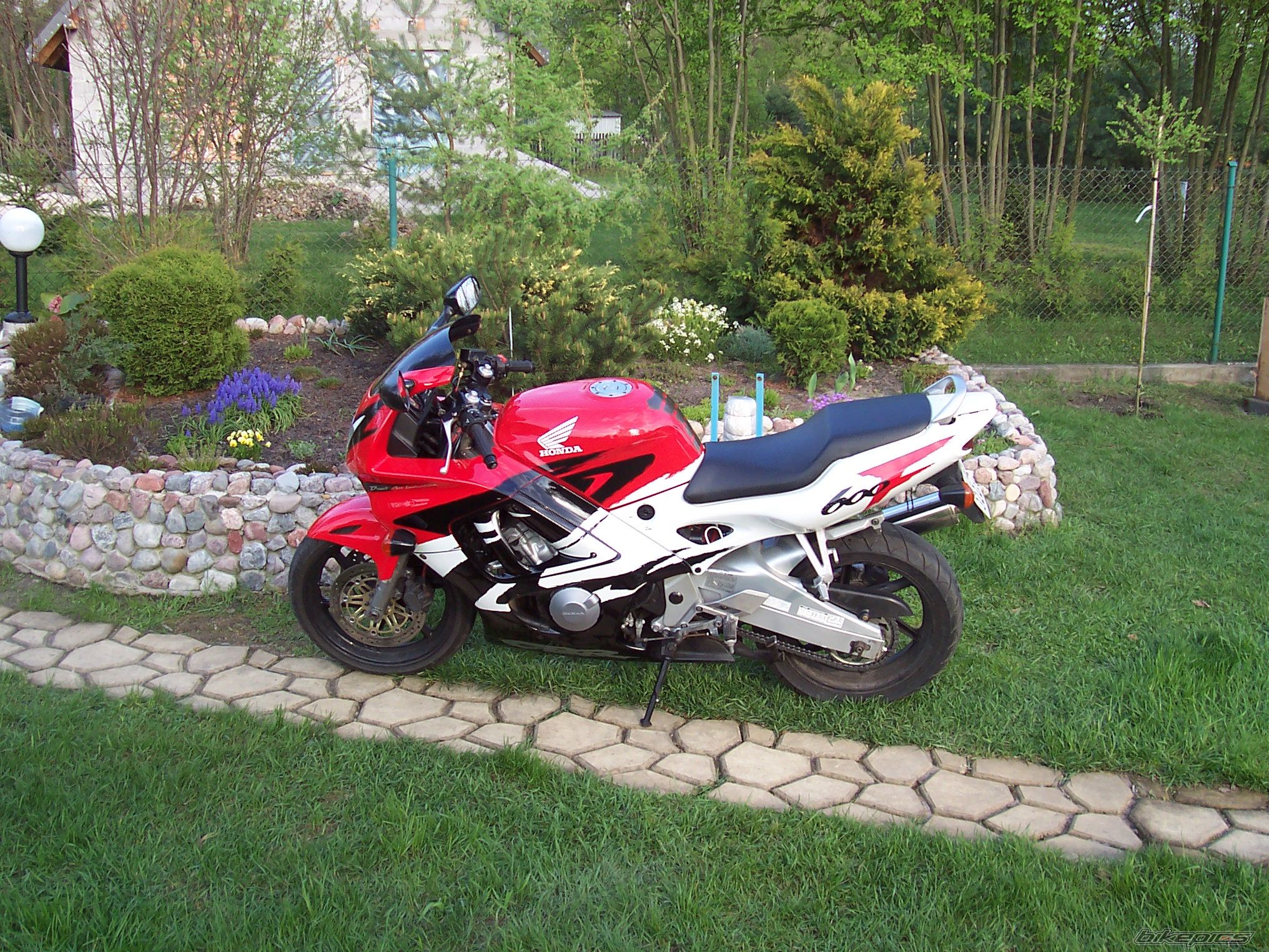Photo 617473