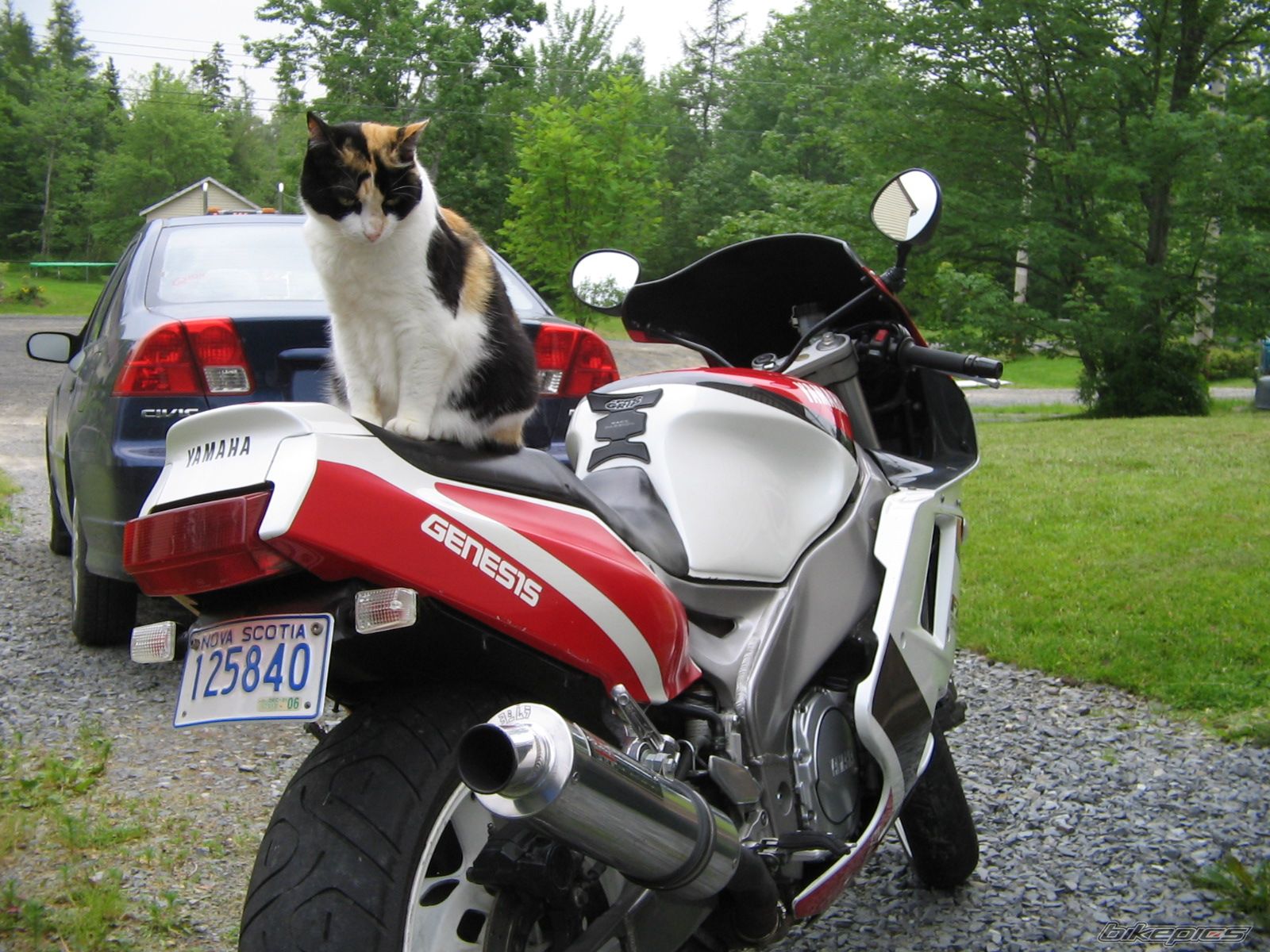 Bike Photo 617768