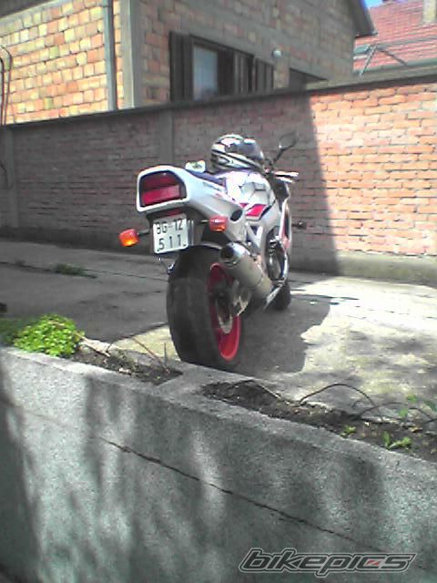 Photo 618036