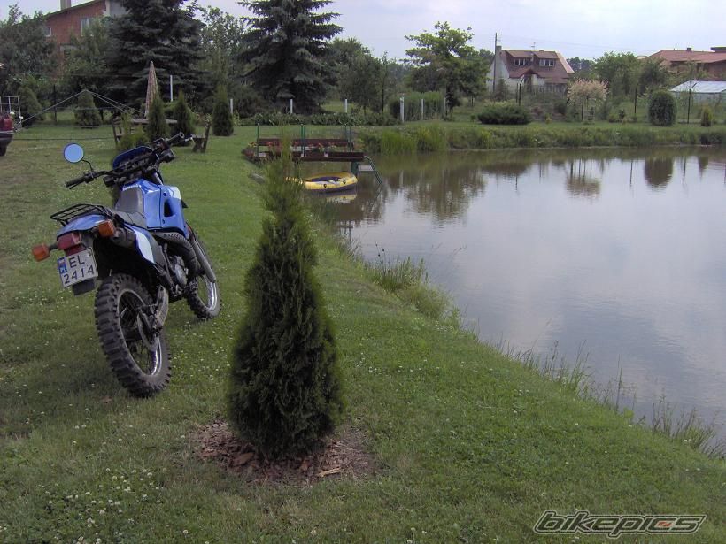 Photo 618265