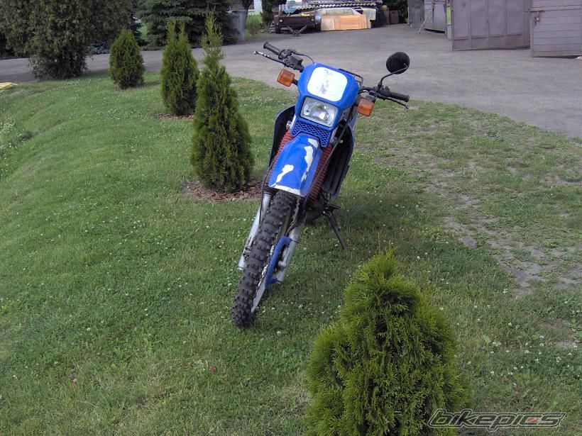 Photo 618269