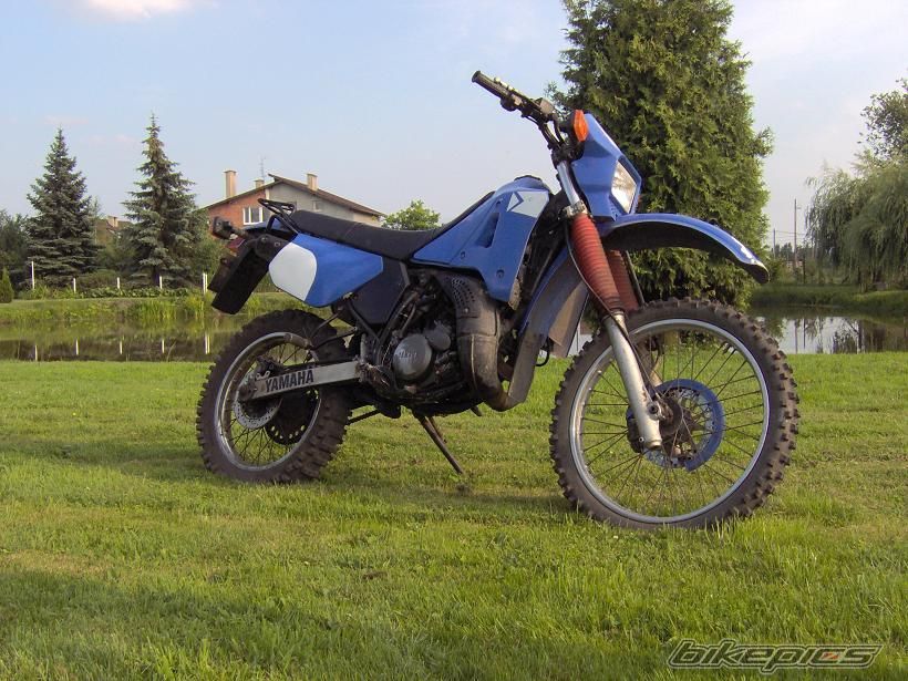 Photo 618282