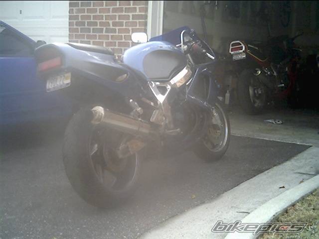 Photo 61874