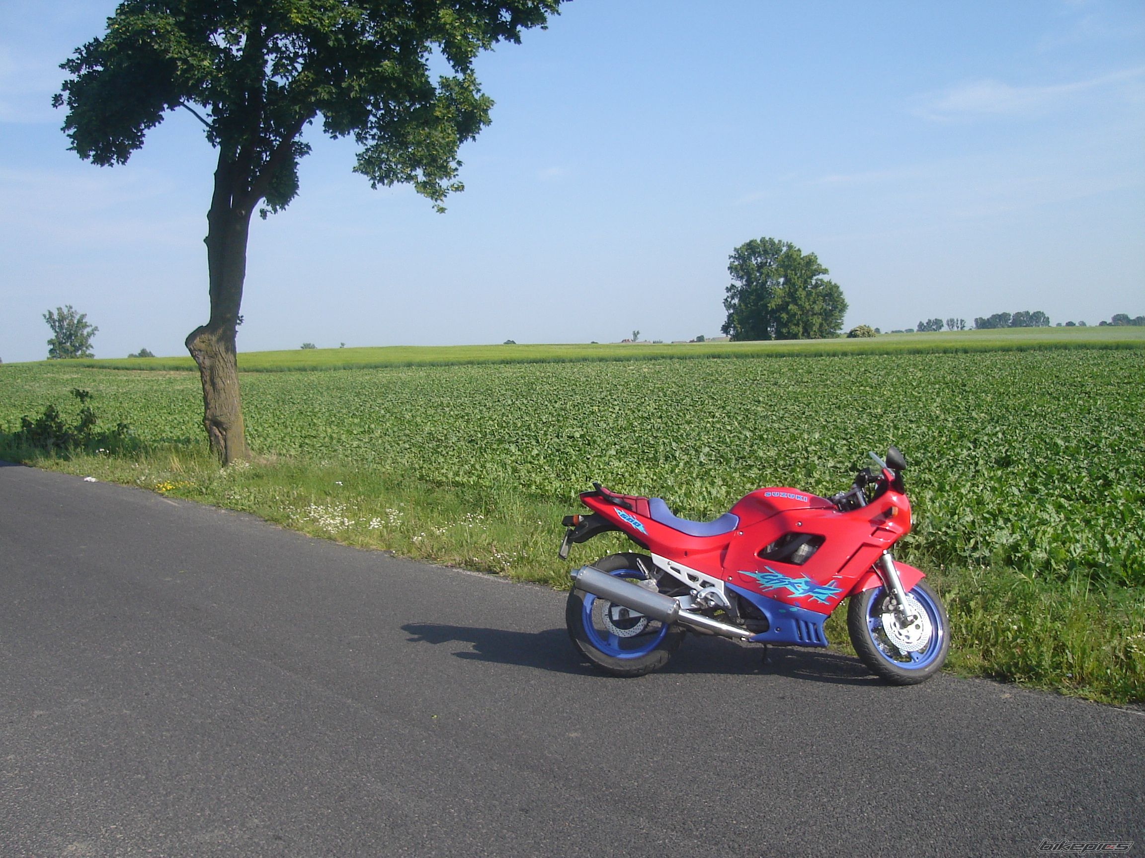 Bike Photo 618848