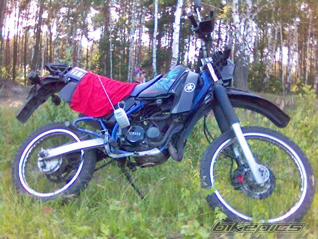 Photo 619376