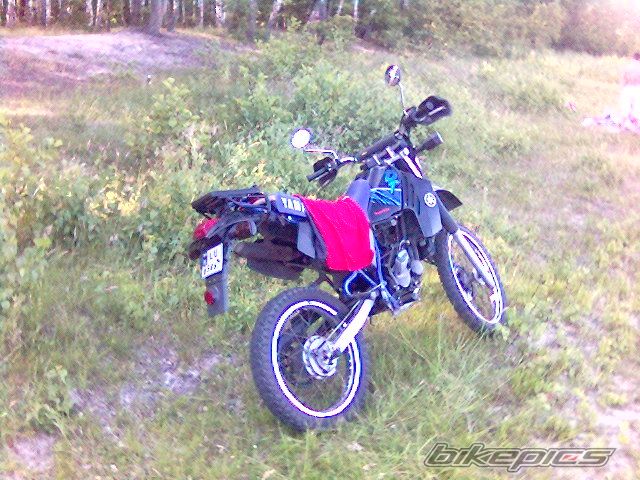 Photo 619380