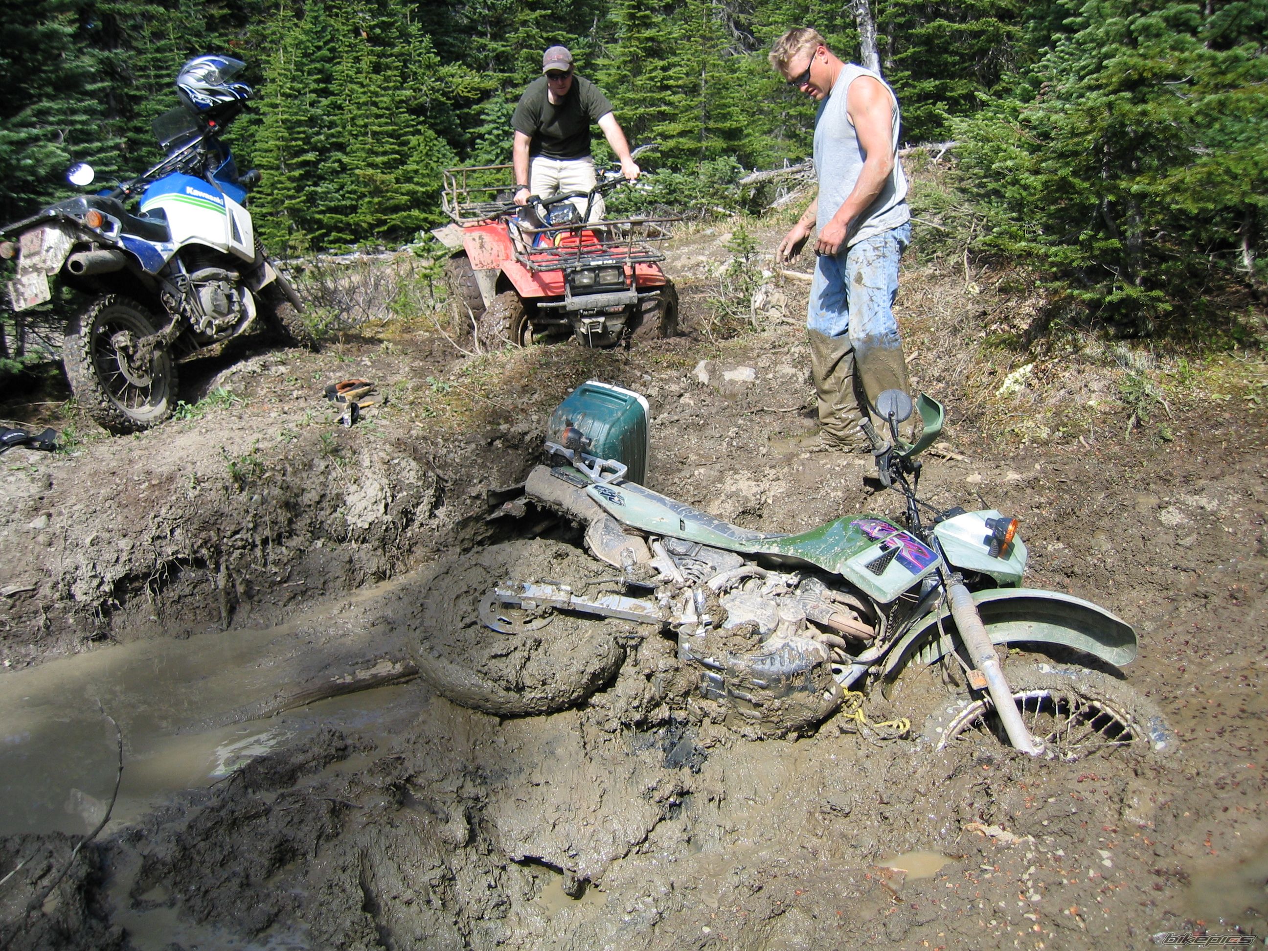 Bike Photo 619393