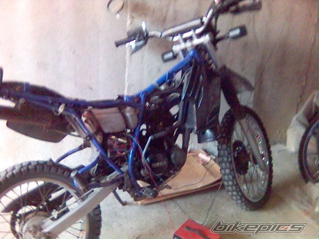 Photo 619394