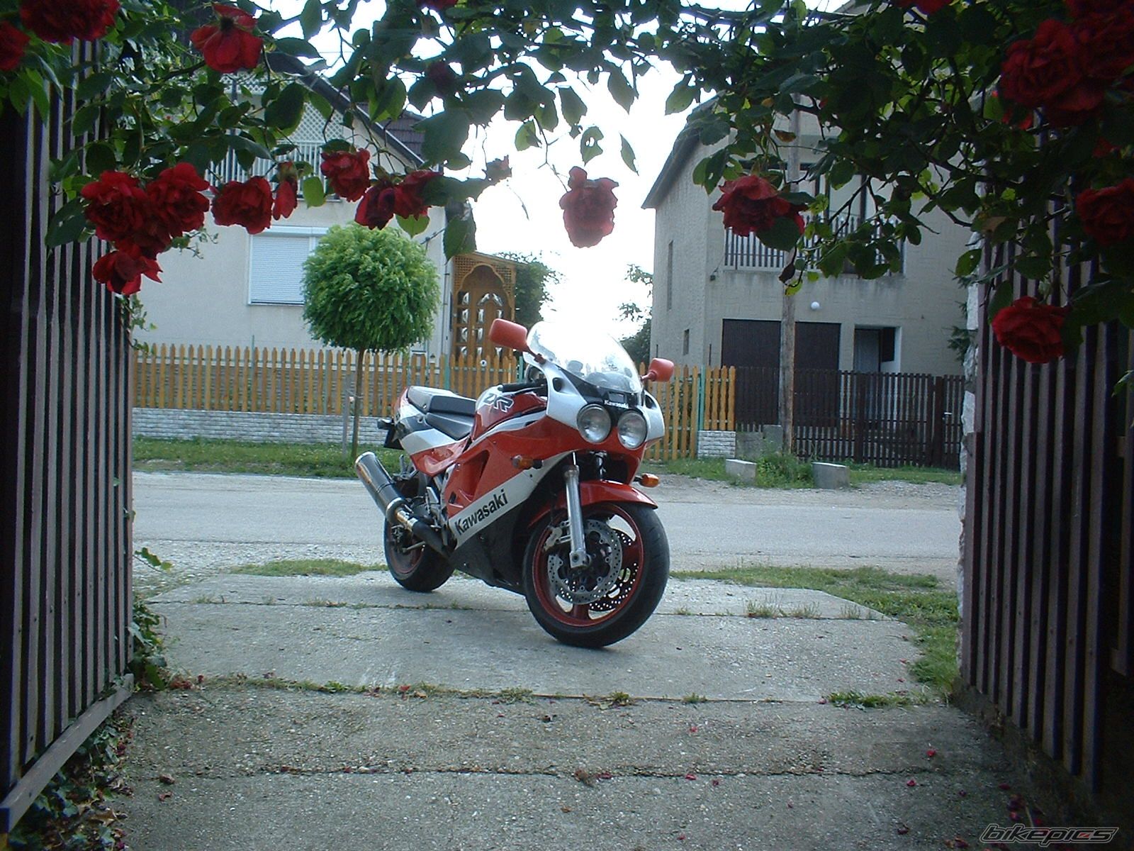 Bike Photo 619482