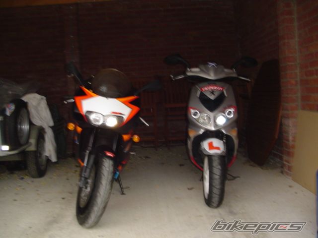 Photo 619623