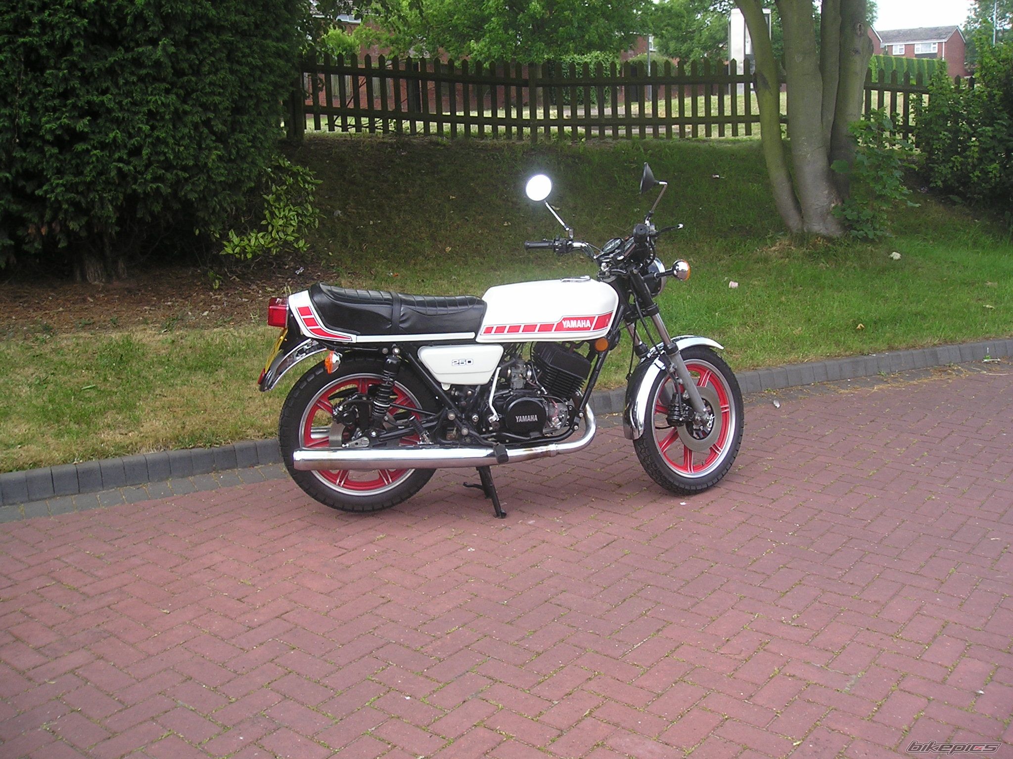Bike Photo 619831